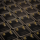 The LessLoss <b>BlackGround</b> modules enable clarity and focus unlocking for audio reproduction. In a world constantly undergoing subatomic ion radiation, this solution is a must for any modern day sound system.