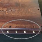 The main difference for the user is that the 8x dual channel version has four signal terminals (as shown here), and the 10x single channel version has only two. See below on this page for a more detailed explanation.